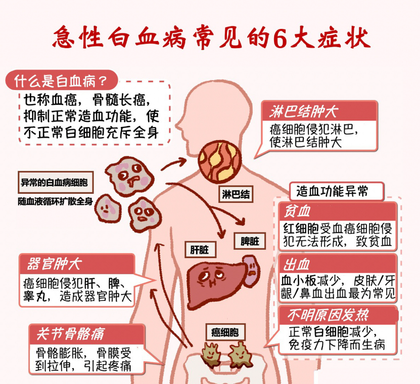 白血病