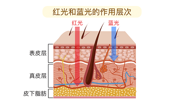 家用大排灯能达到光子嫩肤的效果吗？_红光_皮肤_波长