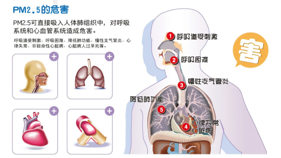 PM2.5对儿童健康的隐秘威胁