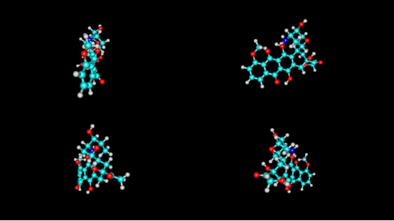 药物分子结构动态